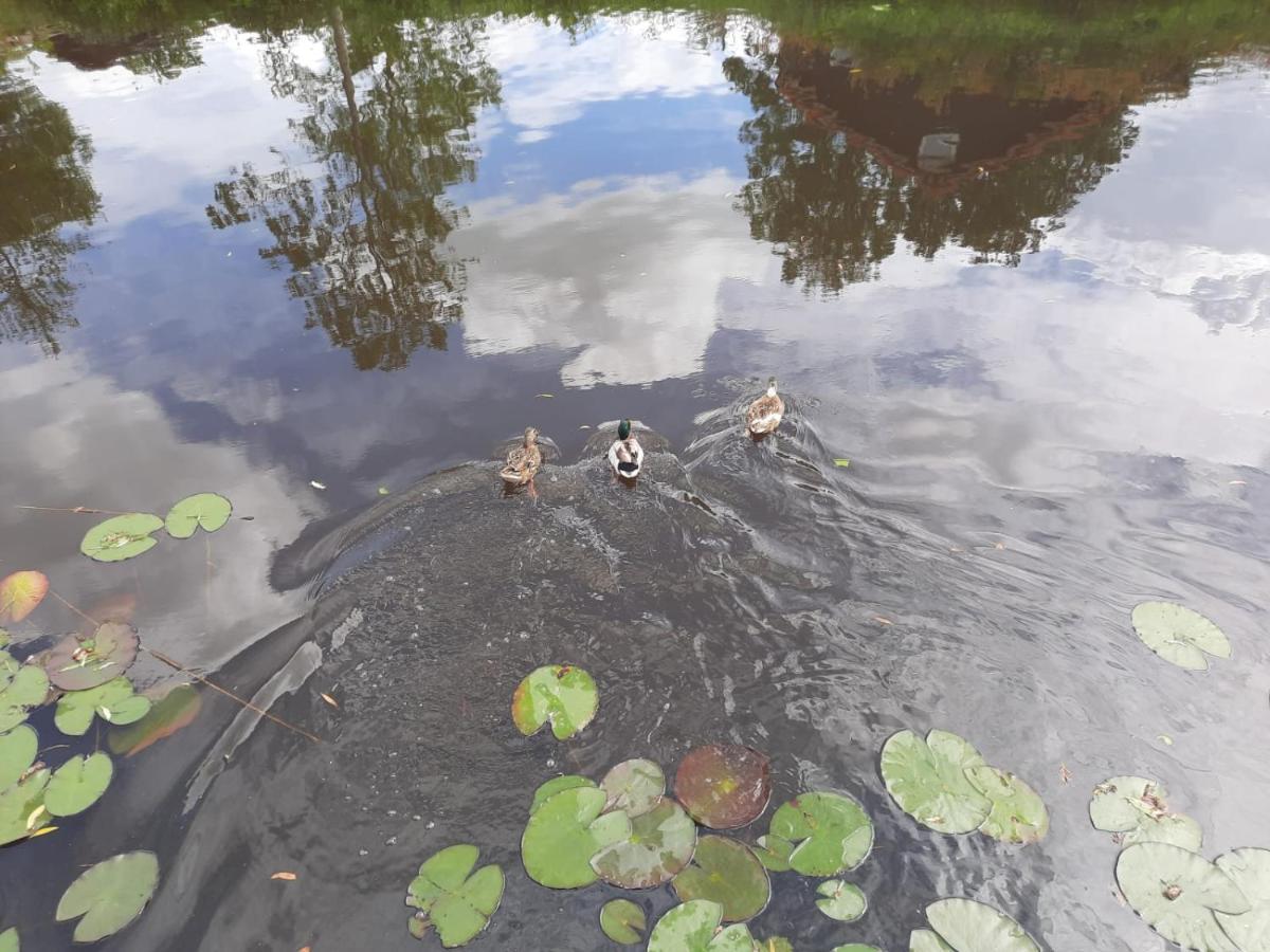 Waterhuis Friesland Oudwoude Екстериор снимка